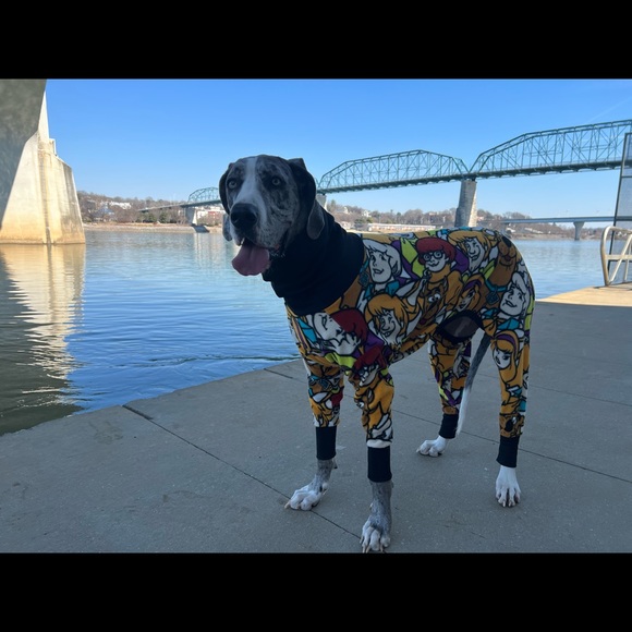 Large breed dog fleece pajamas